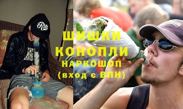 гидра Кинешма