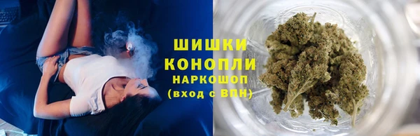 гидра Кинешма