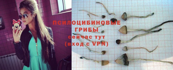 гидра Кинешма